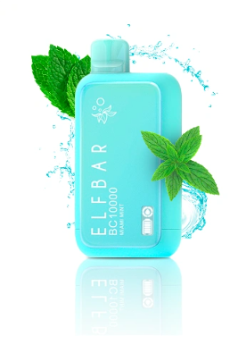 Elf Bar BC 10000 Puffs Miami Mint (Мята)